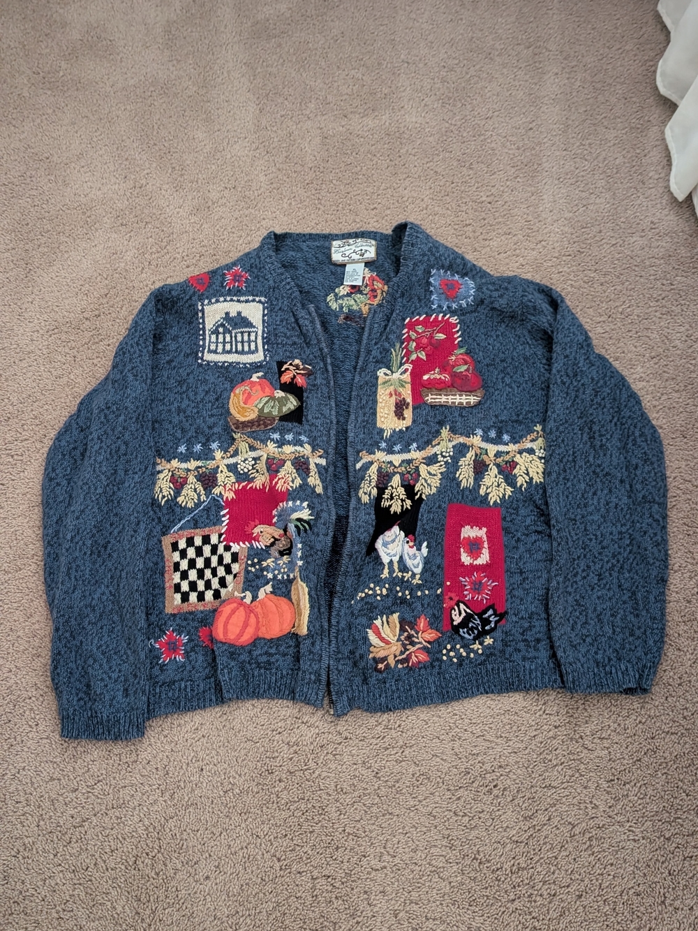 Blue Embroidered Autumn Motif Women’s Cardigan Sweater